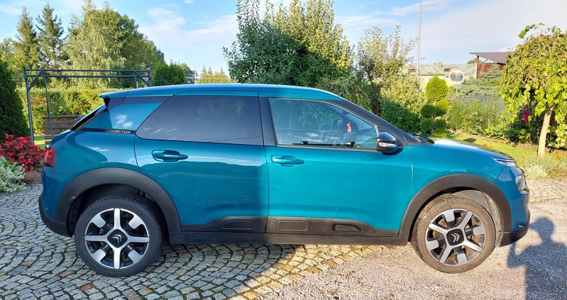 Citroen C4 Cactus cena 56500 przebieg: 116000, rok produkcji 2018 z Międzychód małe 172